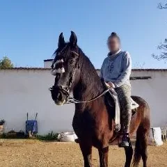 Grace, 31